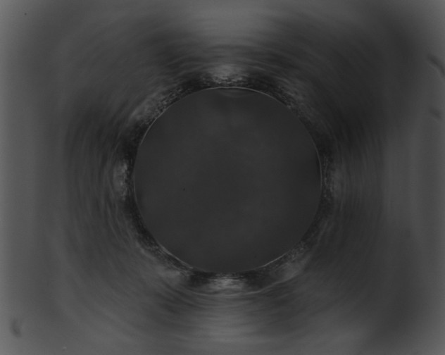 X0000101450319200807141249