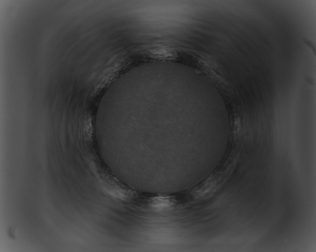 X0000101450320200807141249