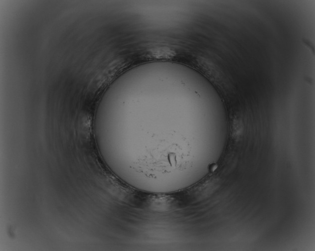 X0000101450321200807141249