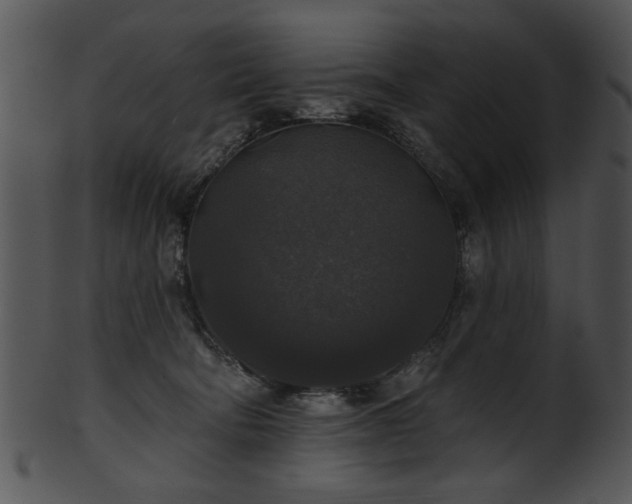 X0000101450322200807141249