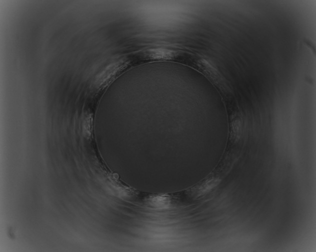 X0000101450325200807141249