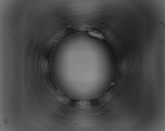 X0000101450327200807141249