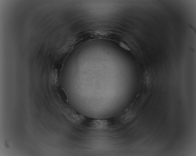 X0000101450328200807141249