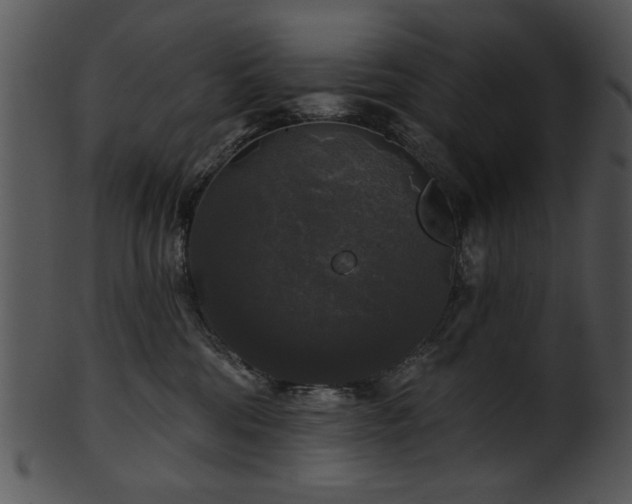 X0000101450330200807141249