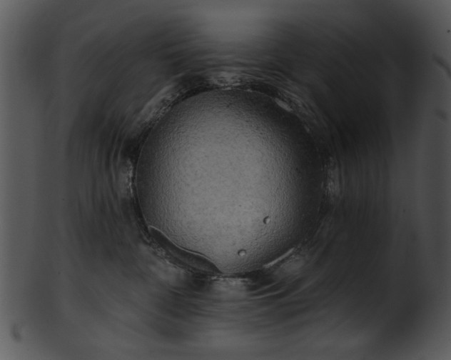 X0000101450332200807141249