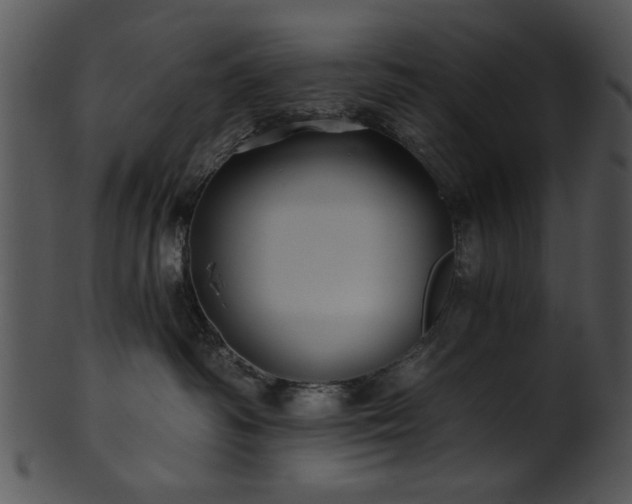 X0000101450334200807141249