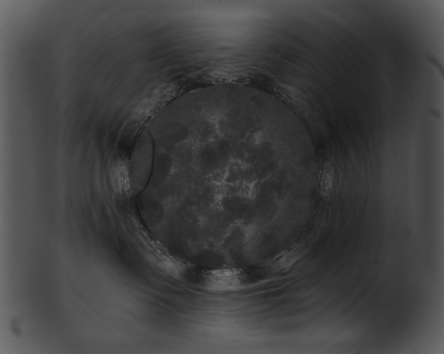 X0000101450335200807141249