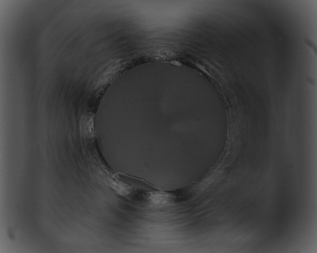 X0000101450336200807141249