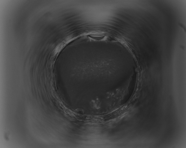 X0000101450337200807141249