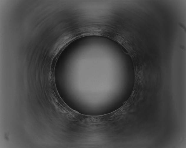 X0000101450338200807141249