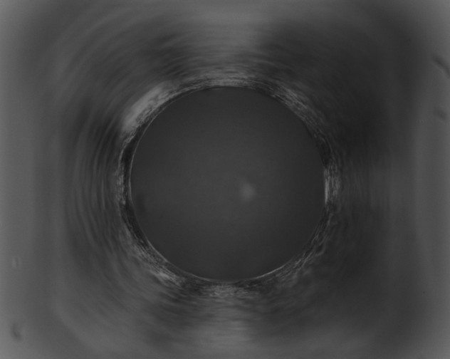 X0000101450339200807141249