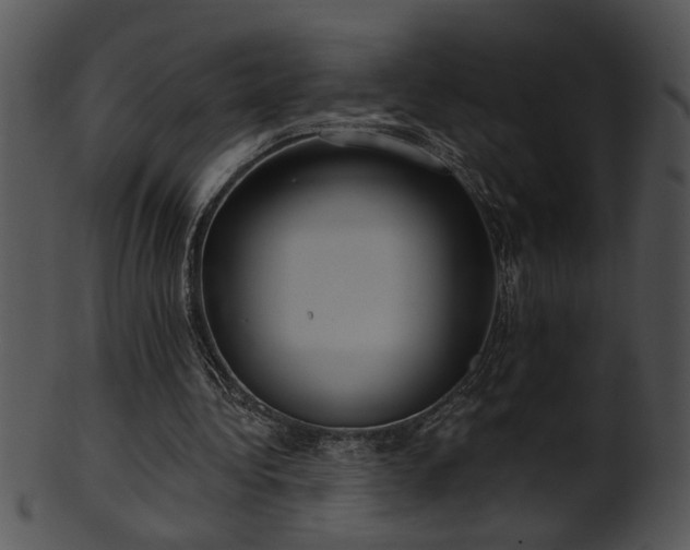 X0000101450340200807141249