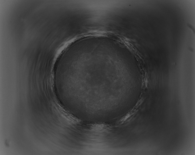 X0000101450342200807141249