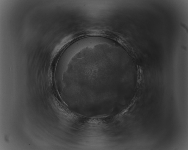 X0000101450343200807141249