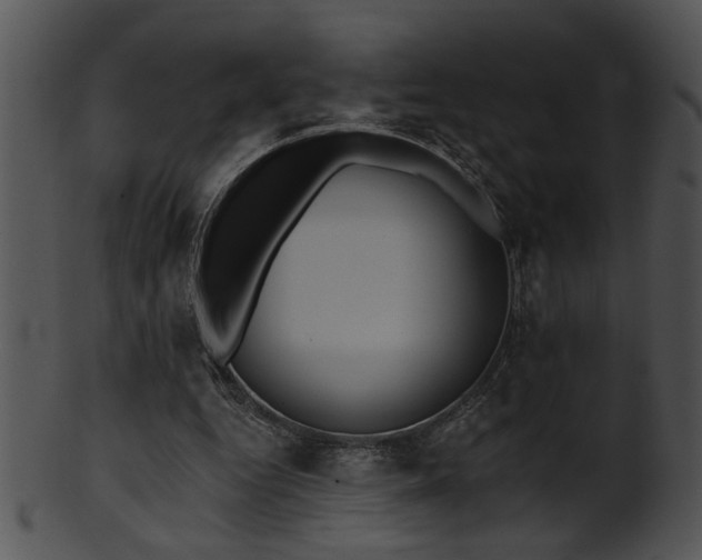 X0000101450344200807141249