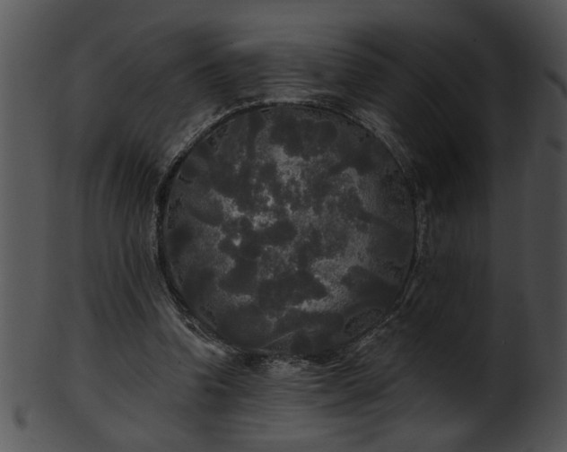 X0000101450346200807141249