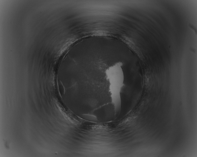 X0000101450347200807141249