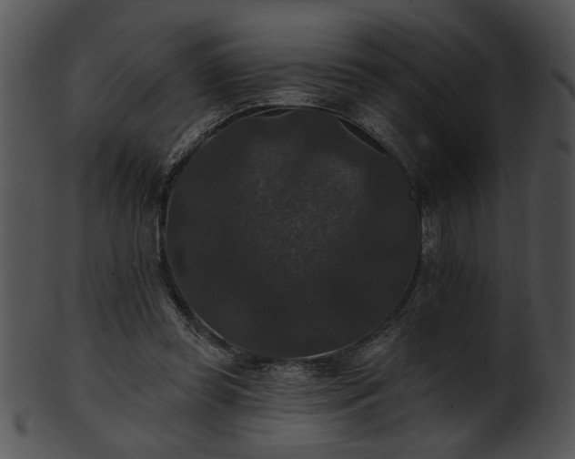 X0000101450349200807141249