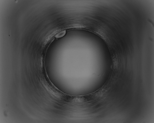 X0000101450350200807141249