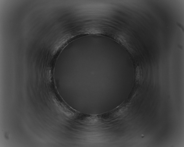 X0000101450351200807141249