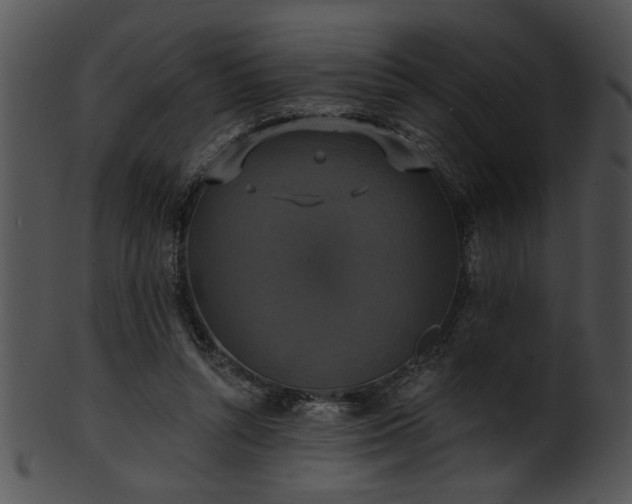 X0000101450352200807141249