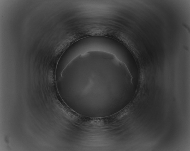 X0000101450353200807141249