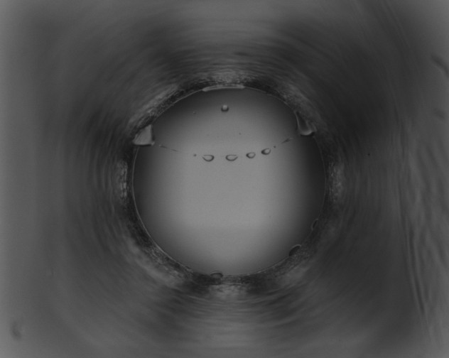 X0000101450356200807141249