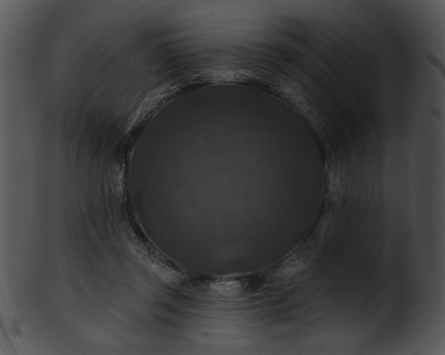 X0000101450357200807141249