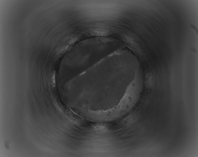 X0000101450358200807141249