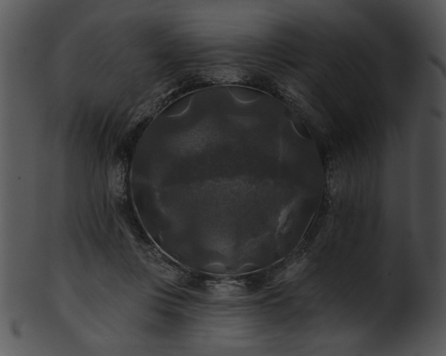 X0000101450359200807141249