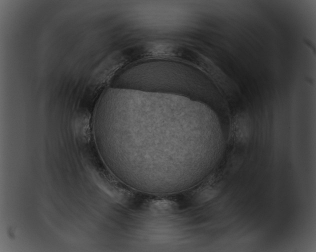 X0000101450360200807141249