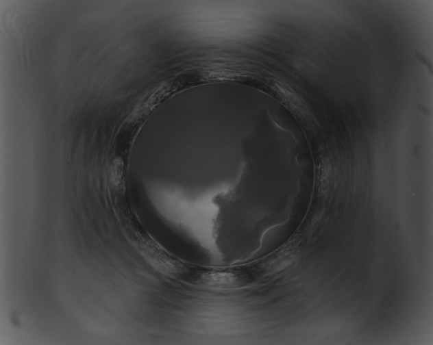 X0000101450361200807141249