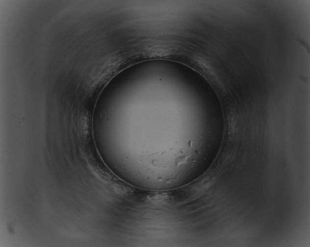 X0000101450362200807141249