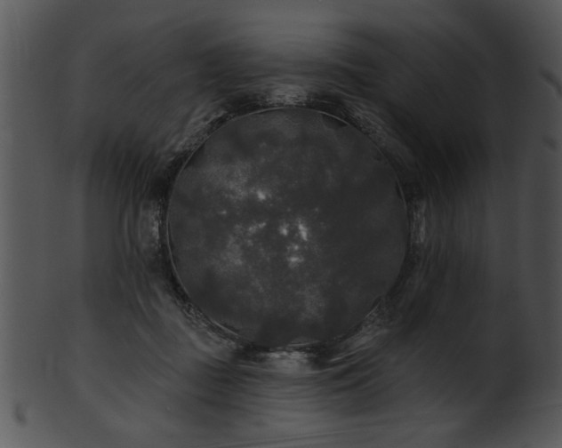 X0000101450363200807141249