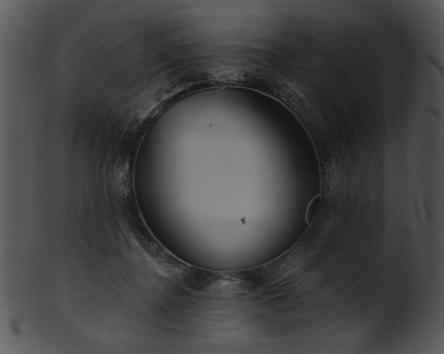 X0000101450364200807141249