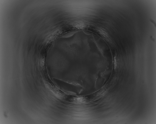 X0000101450365200807141249