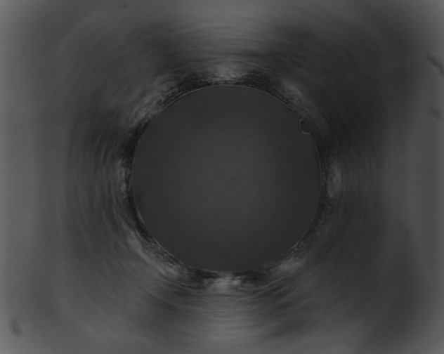 X0000101450366200807141249