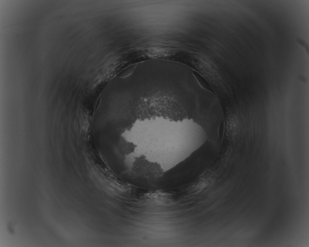 X0000101450367200807141249