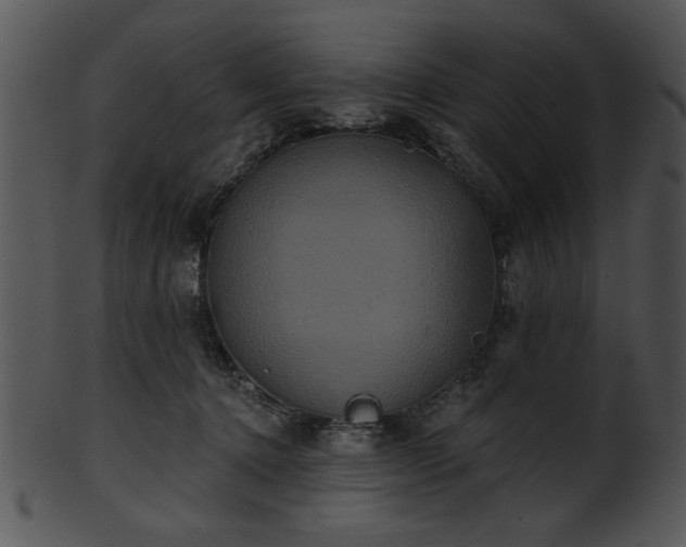 X0000101450368200807141249