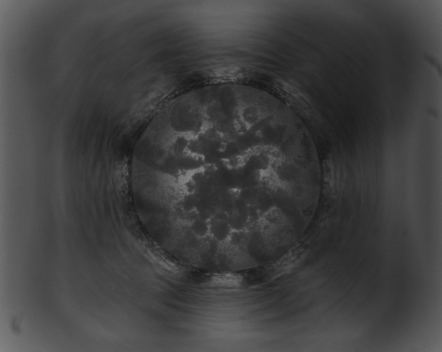 X0000101450369200807141249