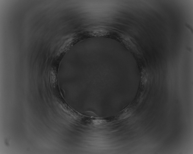 X0000101450371200807141249