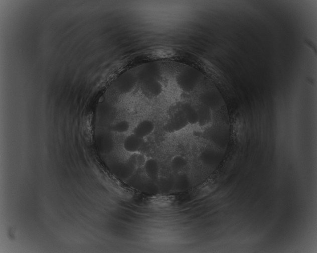 X0000101450373200807141249