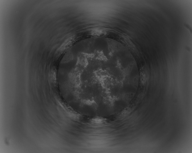 X0000101450375200807141249