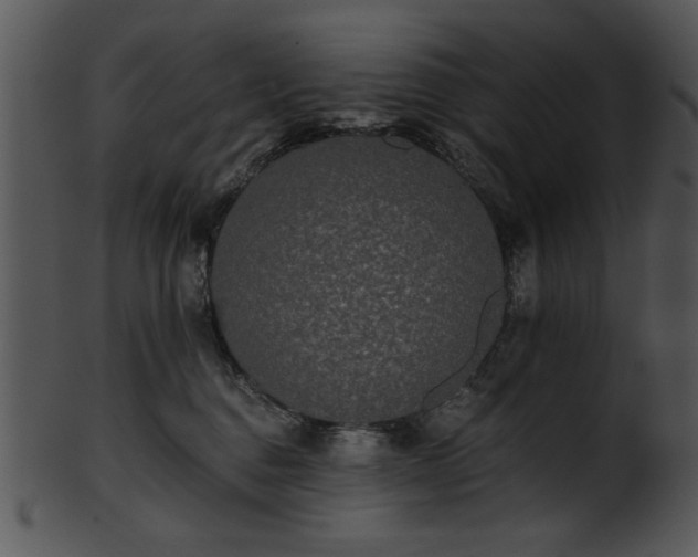 X0000101450376200807141249