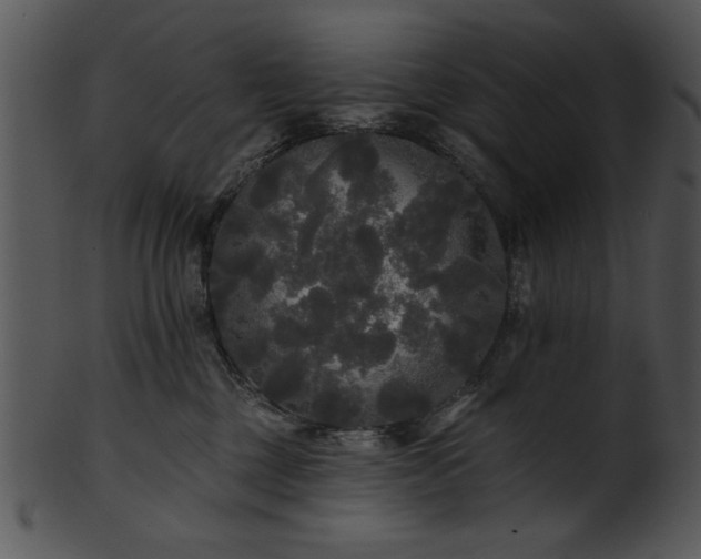 X0000101450377200807141249