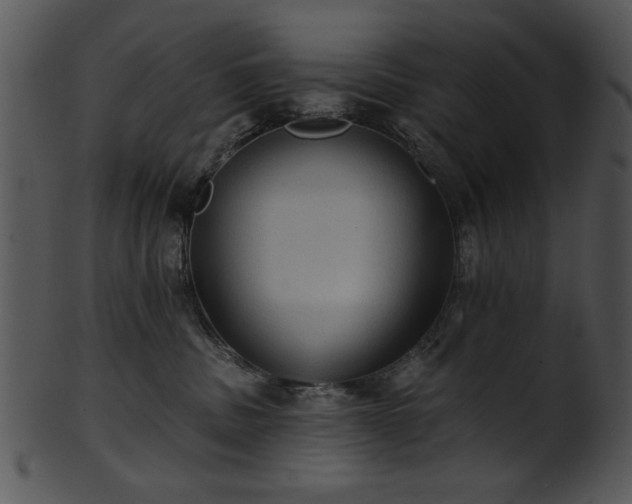 X0000101450379200807141249