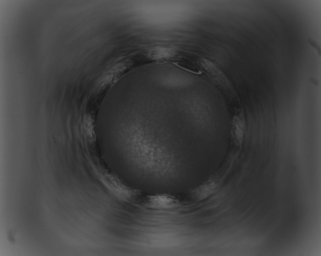 X0000101450380200807141249