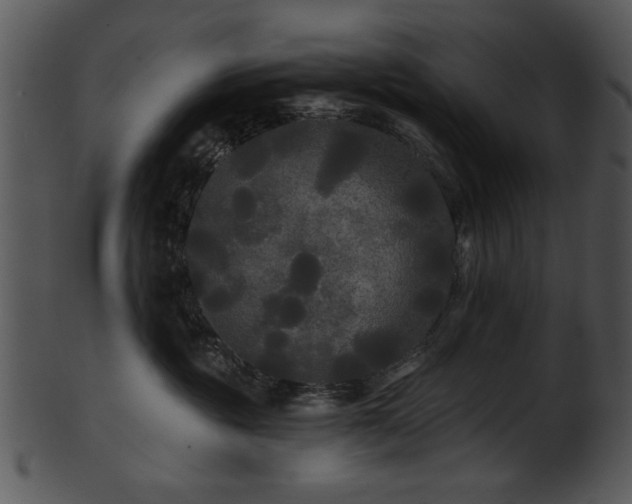 X0000101450381200807141249