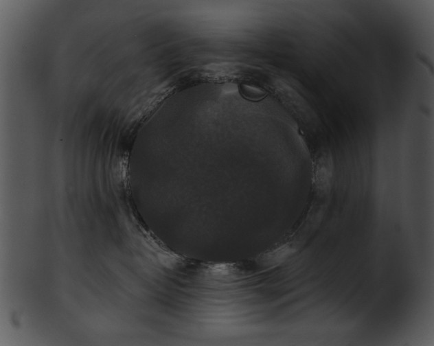 X0000101450382200807141249