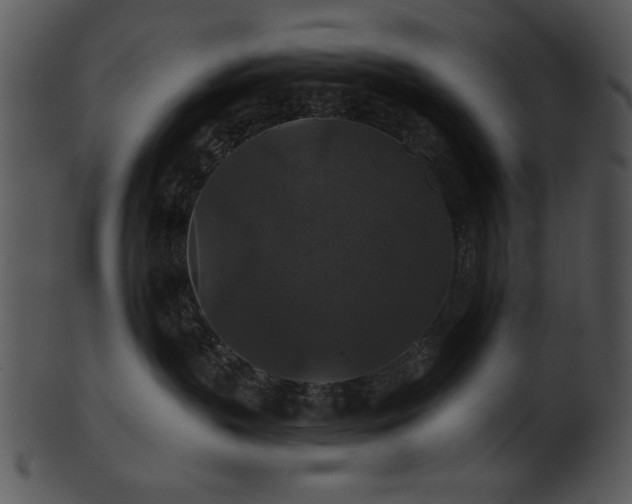 X0000101450383200807141249